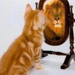 Janet S is swapping clothes online from Wakefield, MA