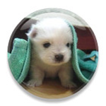 debs is swapping clothes online from 