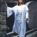 emi26 is swapping clothes online from Knoxville, Tn