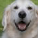 flipside is swapping clothes online from 