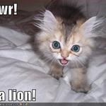 kitteh74 is swapping clothes online from Richmond, VA