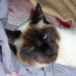 vtcountrygirl is swapping clothes online from Franklin, Vermont