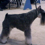 cheryl is swapping clothes online from weatherford, texas