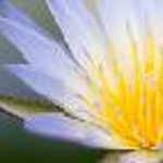 hoovla is swapping clothes online from Buffalo, NY