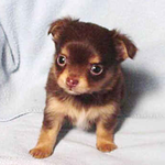 juicylicious21 is swapping clothes online from 