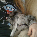 ilanaazure is swapping clothes online from Brockport, NY