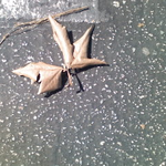 andersonciara62 is swapping clothes online from 