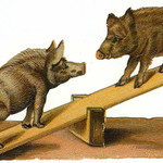 kattweezel is swapping clothes online from Springsure, Queensland Australia