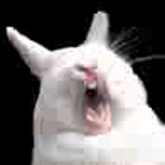 puffinrose is swapping clothes online from 