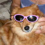 vickielynn is swapping clothes online from 