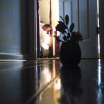 Traybutter is swapping clothes online from Belmont, NC