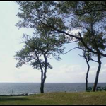 kaysil13 is swapping clothes online from 