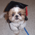 Lustreal is swapping clothes online from Winter Park, Florida