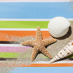 T is swapping clothes online from Yonkers, NY