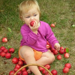 organicgirl is swapping clothes online from 