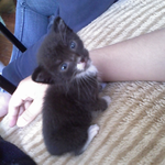 Samantha Z is swapping clothes online from New York, 