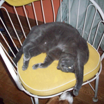 kularams is swapping clothes online from 