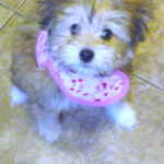 Erika is swapping clothes online from Las Vegas, NV