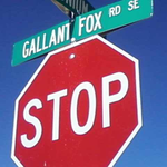 nikkigallant is swapping clothes online from 