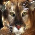 cphoenix2 is swapping clothes online from 