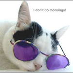 cameorose is swapping clothes online from 