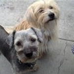 Jazzmine is swapping clothes online from Phoenix, Arizona