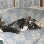 mepxmep is swapping clothes online from 