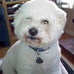 walkerm is swapping clothes online from 