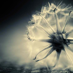 Mandy is swapping clothes online from pittsburgh, pa