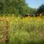 barnsjan is swapping clothes online from 