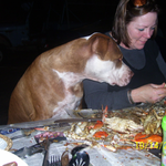 debidjacob is swapping clothes online from 