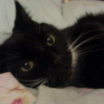 cindamarie is swapping clothes online from Brawley, CA