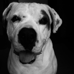 women1978 is swapping clothes online from 