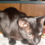 cindyw is swapping clothes online from 