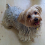 Kay M is swapping clothes online from OC, CA