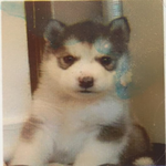 regiftgal is swapping clothes online from 