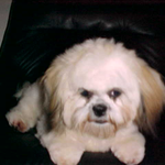 Shelia  is swapping clothes online from VA