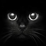 Julie is swapping clothes online from Apopka, Florida