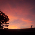 sunsetswapper is swapping clothes online from pompano beach, florida