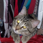 Egloff is swapping clothes online from Los Angeles, CA