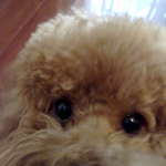 Kai Lin  is swapping clothes online from Rochester, New York