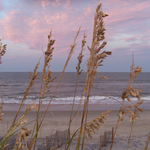 missterri is swapping clothes online from 