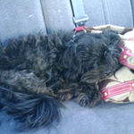 Anastacia W is swapping clothes online from Tampa, Florida