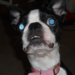 knotby9 is swapping clothes online from Dearborn, MI