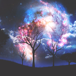 Amy  is swapping clothes online from Wisconsin 