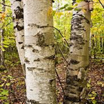 Jackie is swapping clothes online from Canterbury, CT