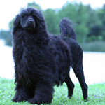 heatherb is swapping clothes online from Gardner, KS