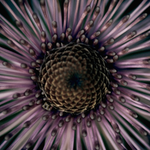 Tina is swapping clothes online from Longview, texas