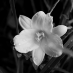 winter01 is swapping clothes online from 