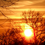 Meg is swapping clothes online from Southampton , Hampshire